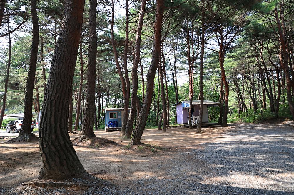 양양 솔바다 캠핑장