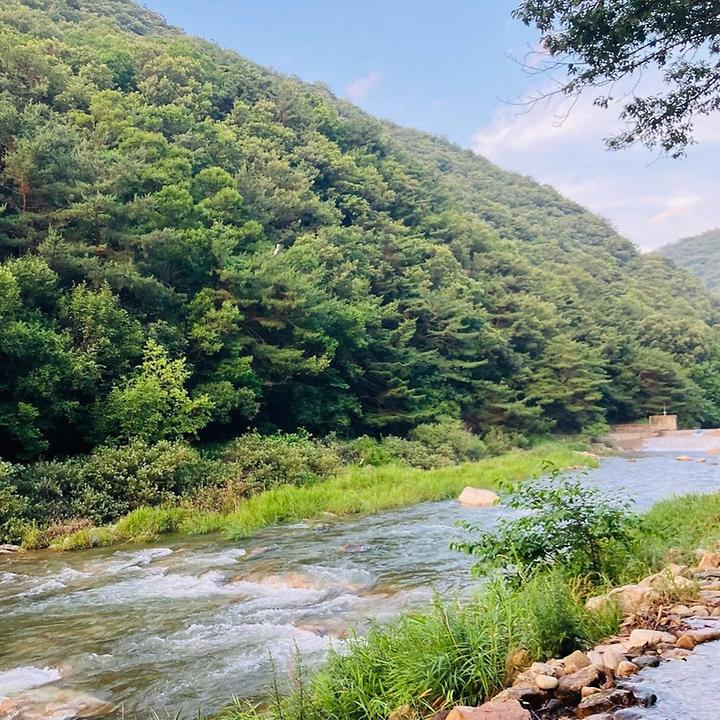 노문 야영장
