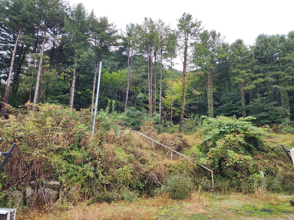 달빛정원글램핑&카라반