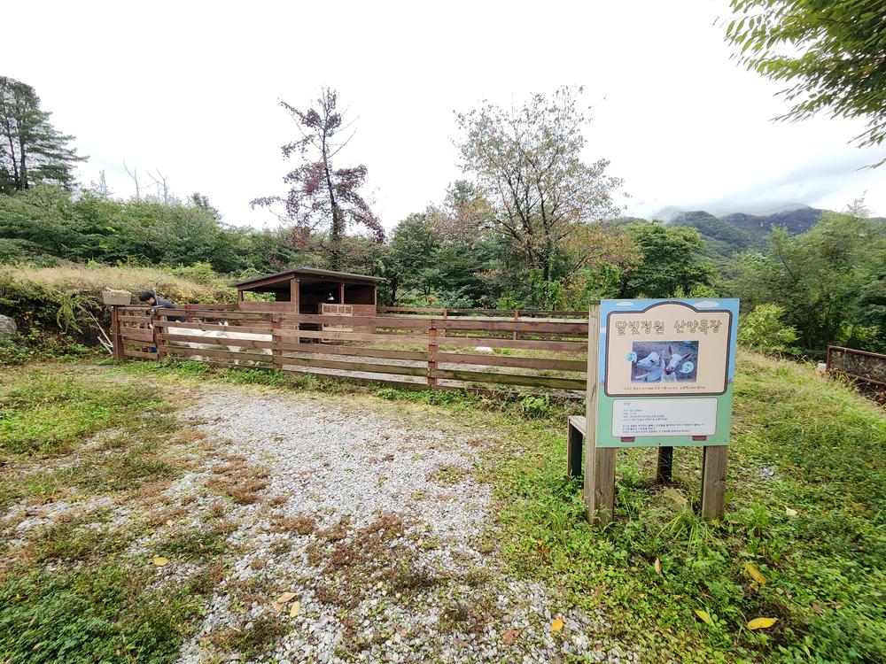 달빛정원글램핑&카라반