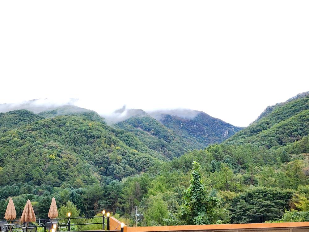 달빛정원글램핑&카라반