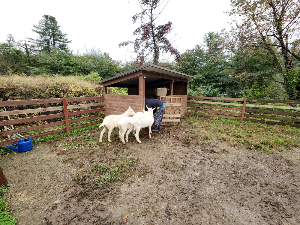 달빛정원글램핑&카라반