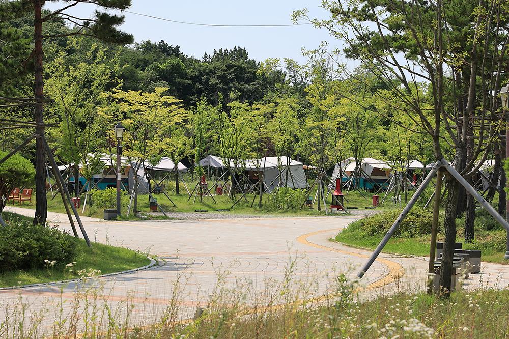 청라캠핑파크