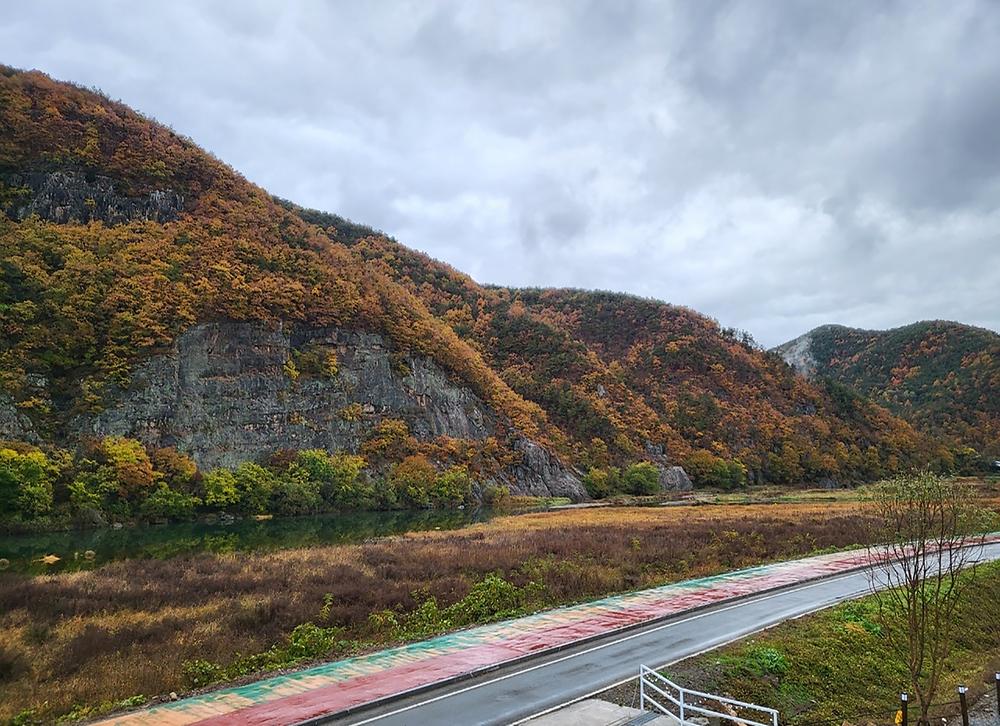 레끄레오캠핑장