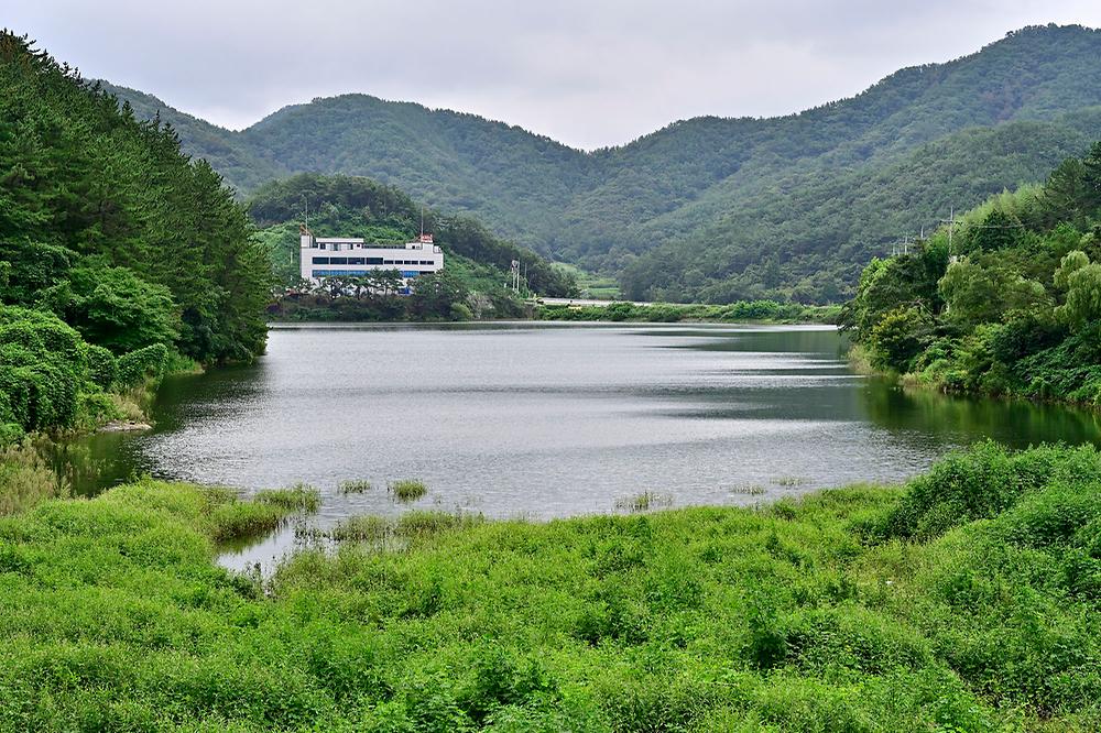 리틀보이 캠핑장
