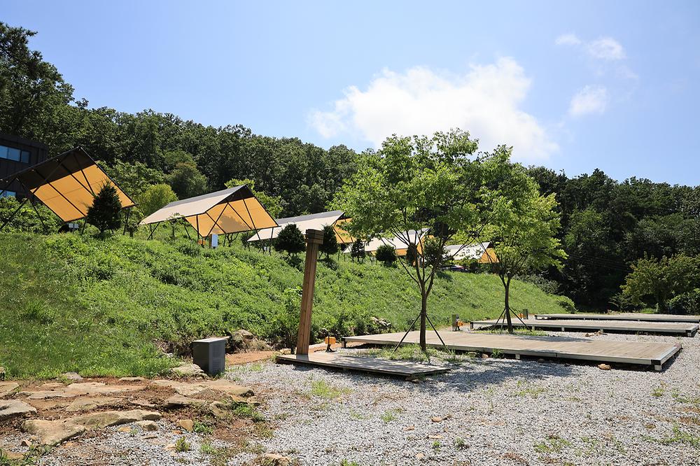 스톤 캠핑장