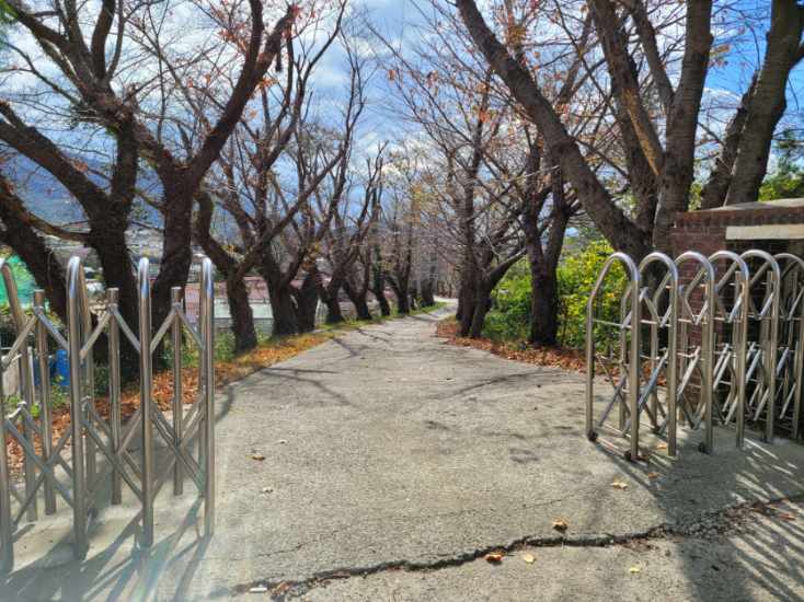 드론스포츠코리아