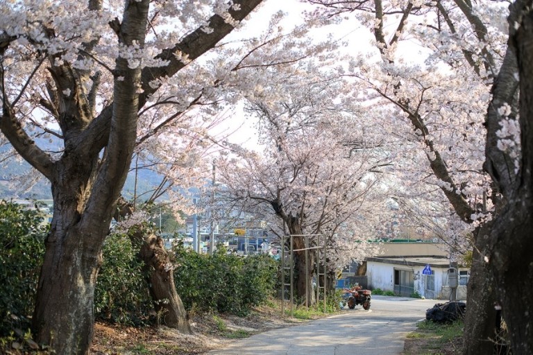 드론스포츠코리아