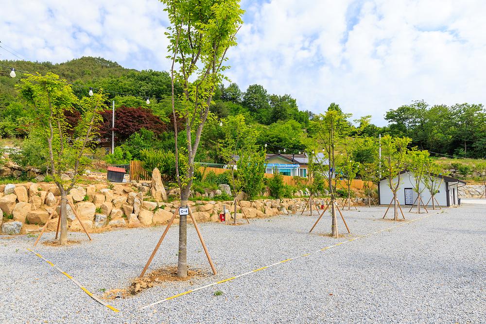 산앤호반 캠핑장