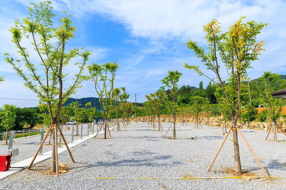 산앤호반 캠핑장