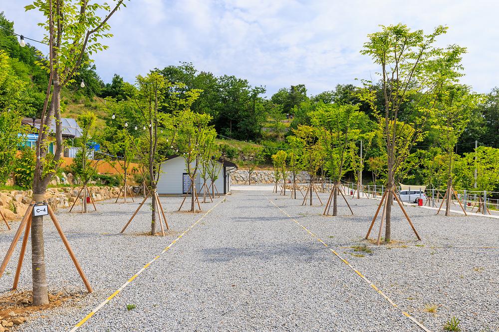 산앤호반 캠핑장