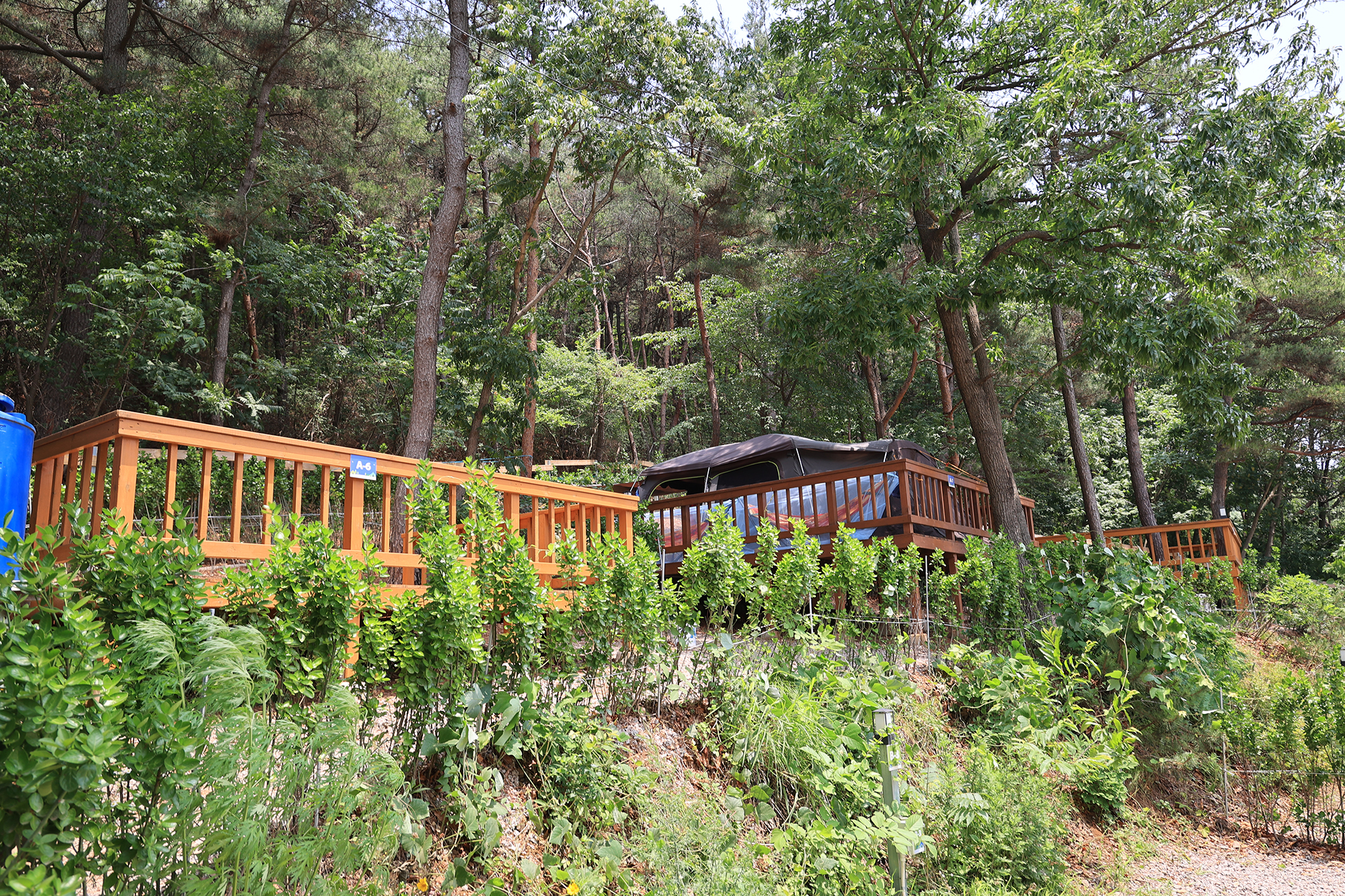 영흥도십리포캠핑장