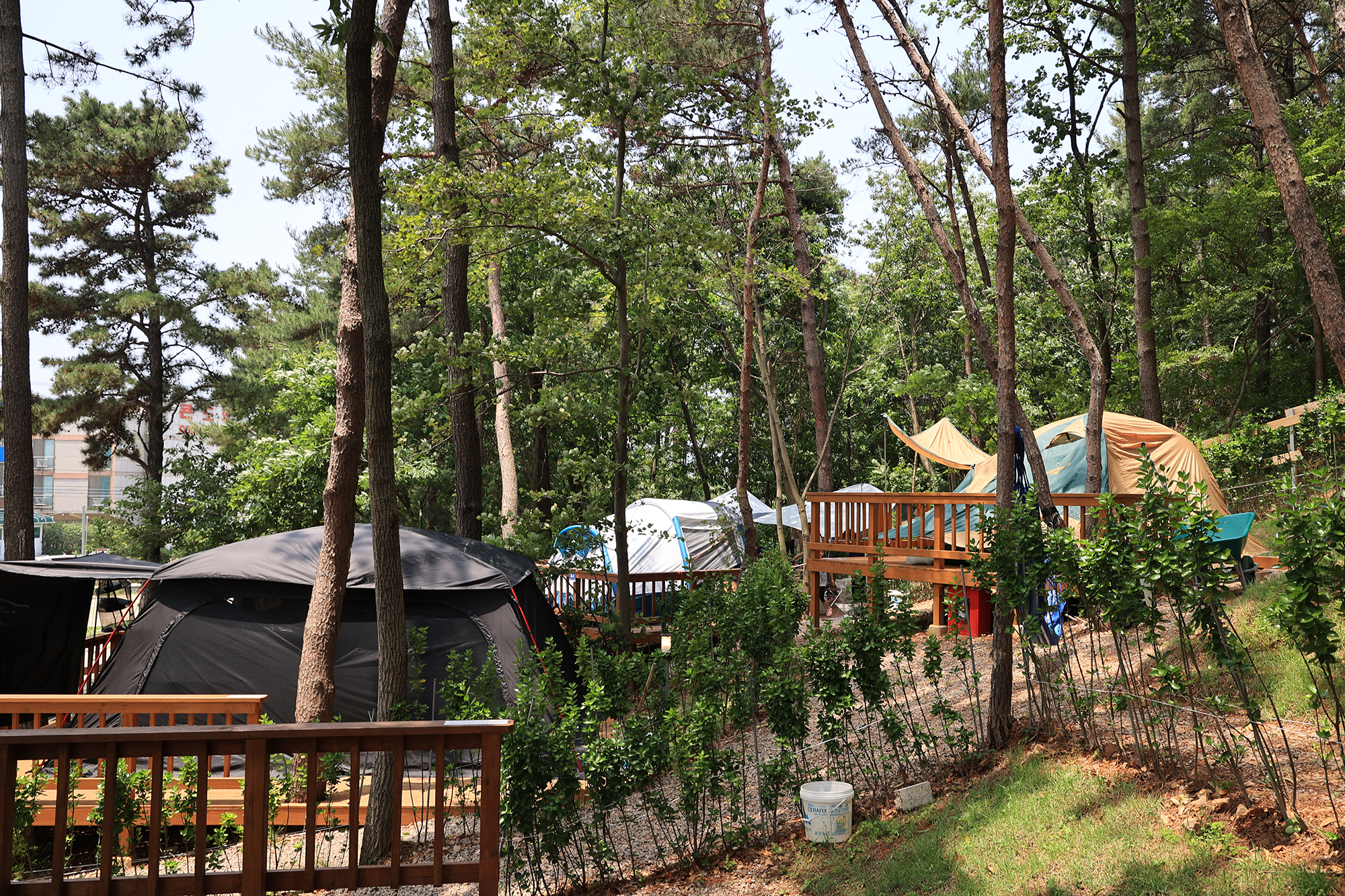 영흥도십리포캠핑장