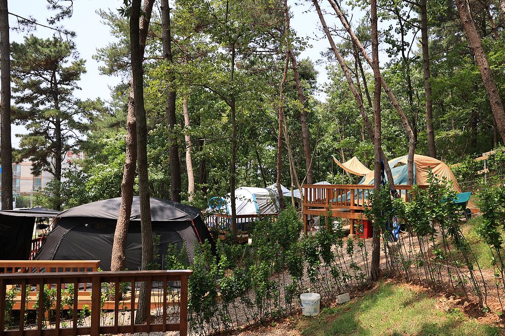 영흥도십리포캠핑장