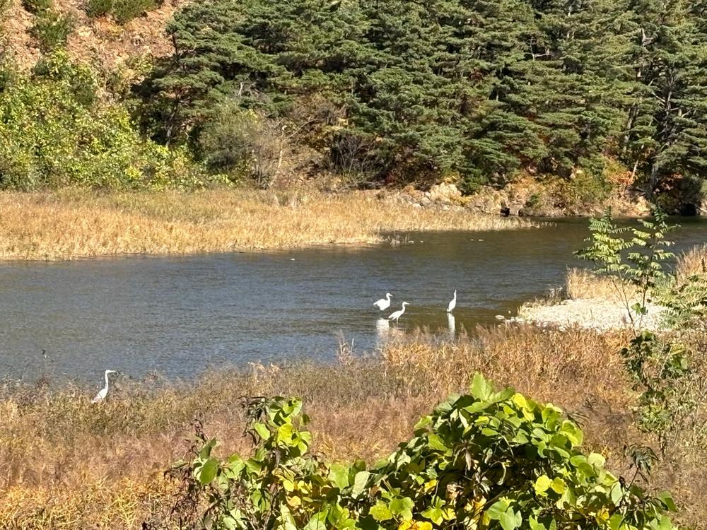 양양 고인돌 캠핑장