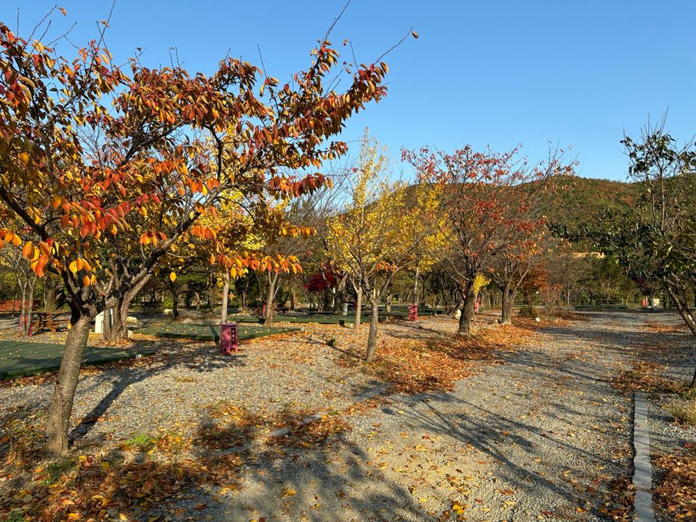 양양 고인돌 캠핑장