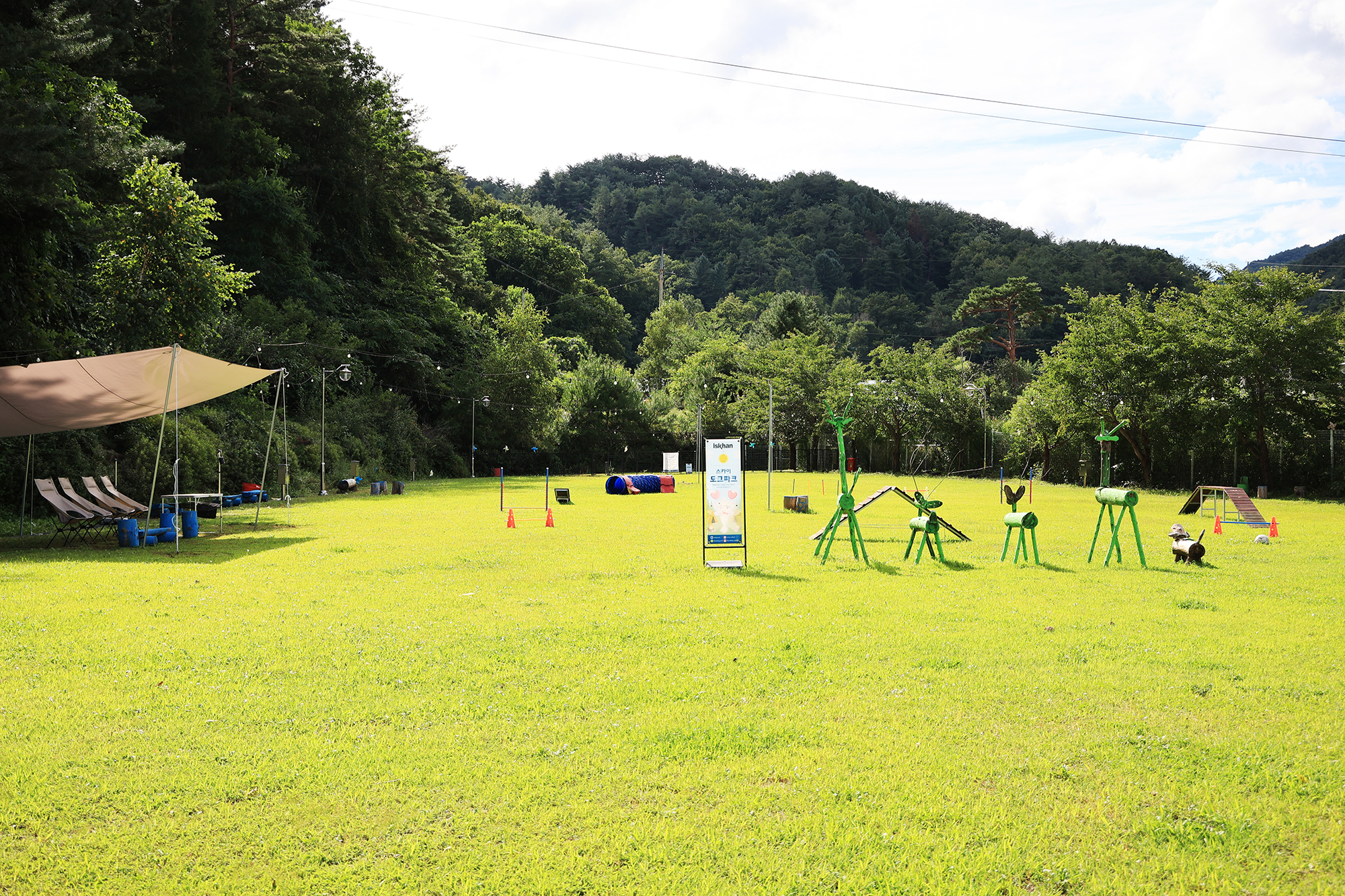 라이프위드도그