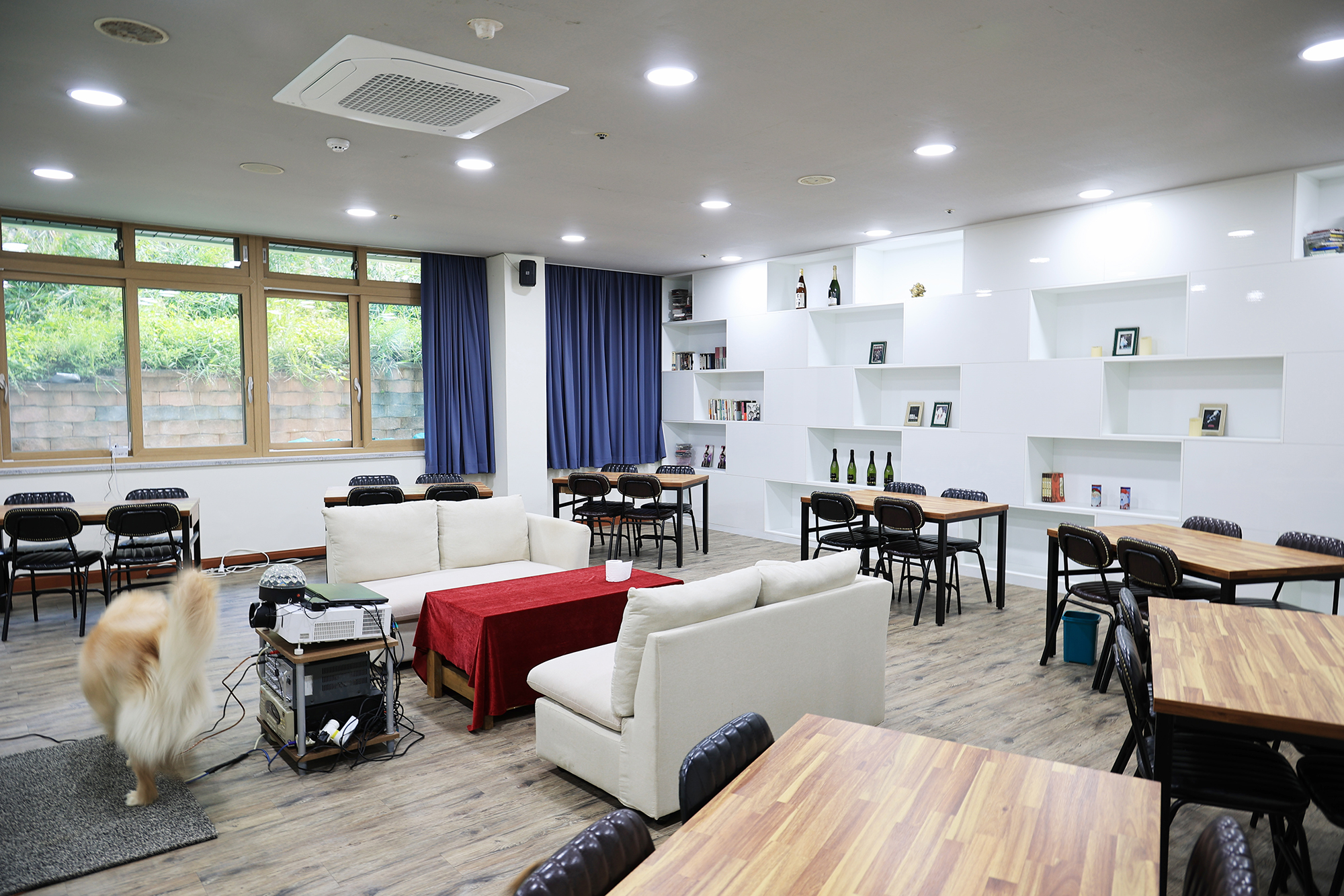 라이프위드도그