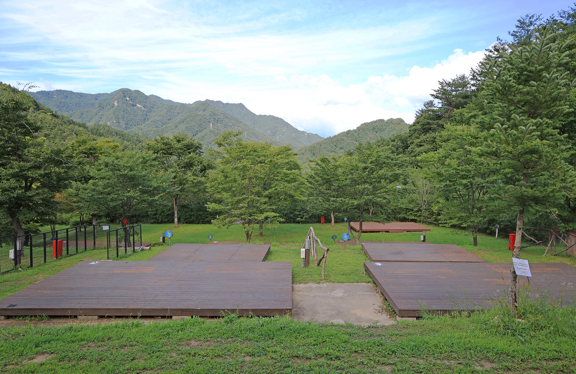 라이프위드도그