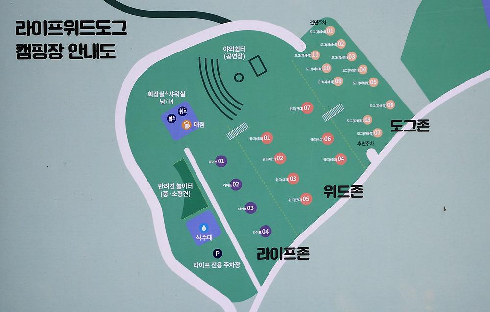 라이프위드도그