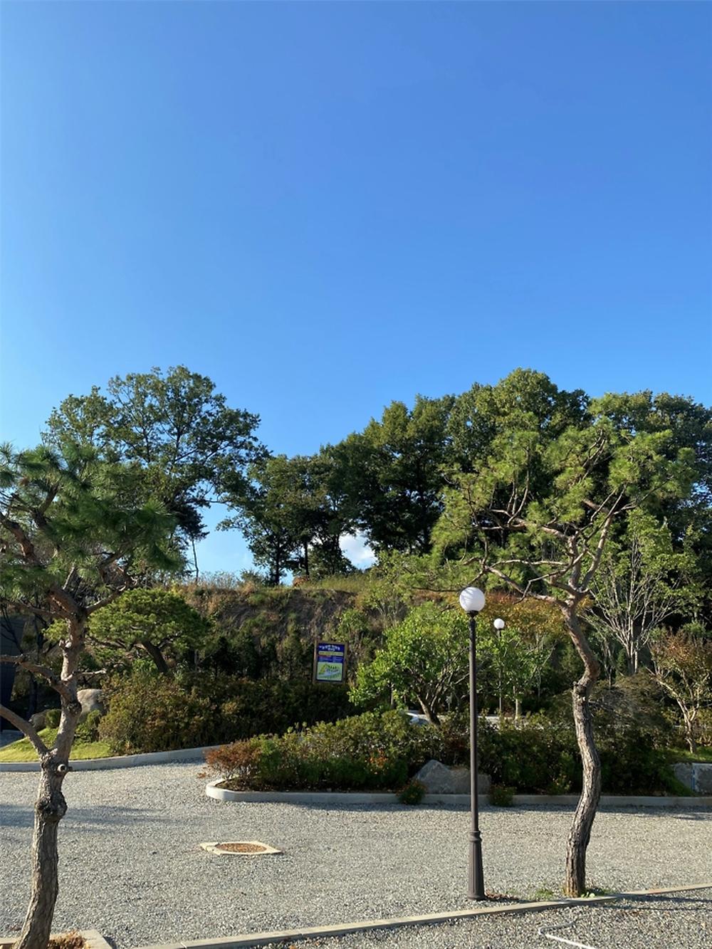 솔잎향캠핑파크