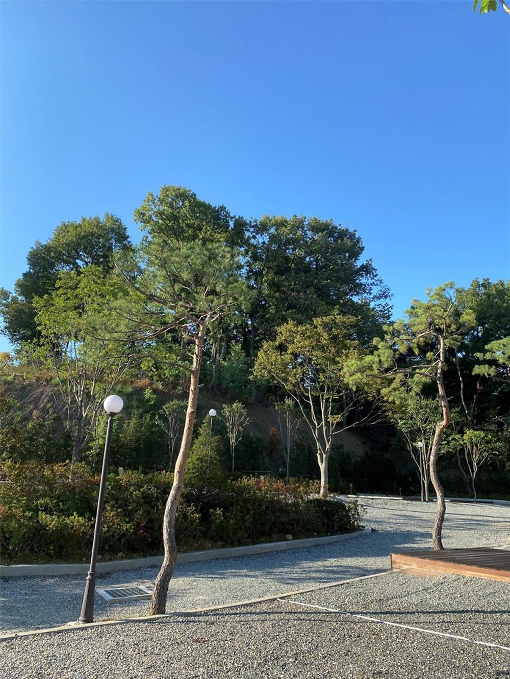 솔잎향캠핑파크