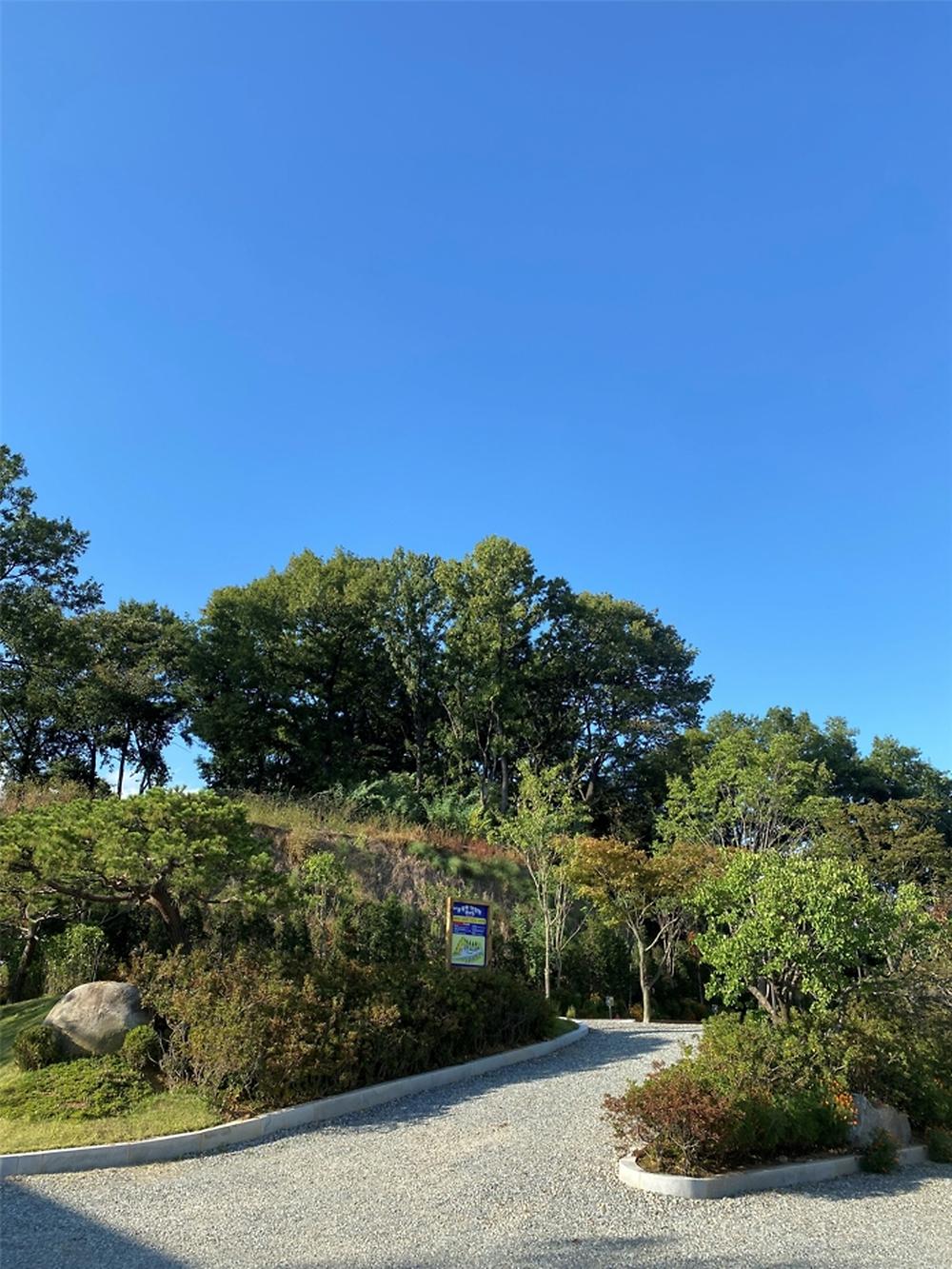 솔잎향캠핑파크
