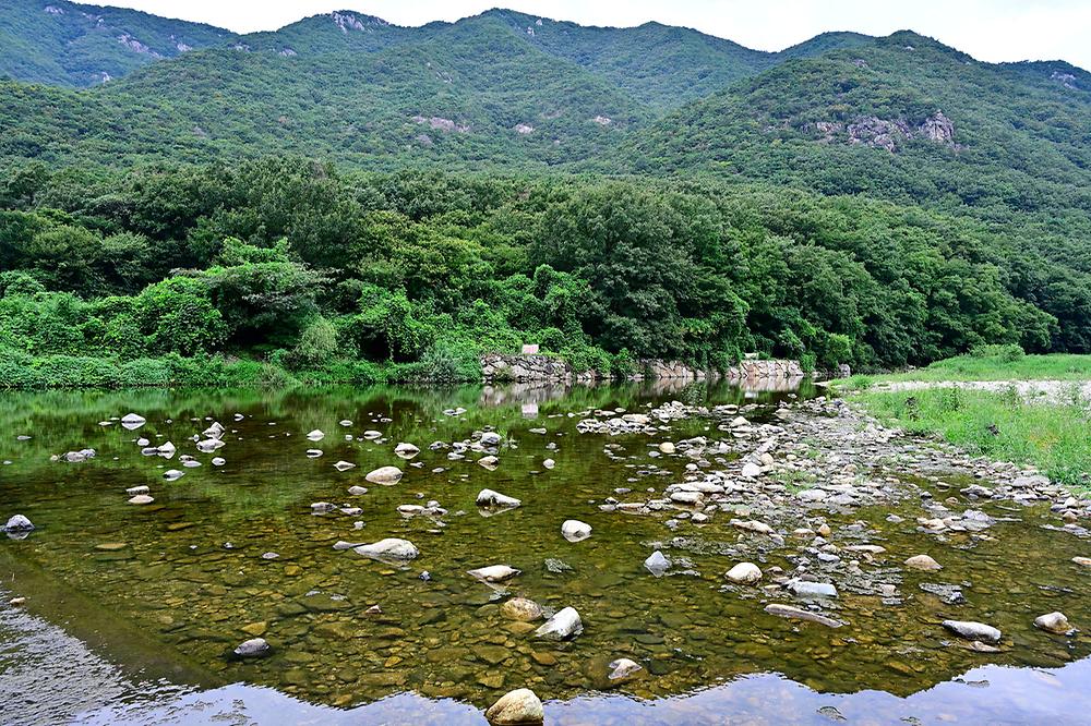 라라캠핑장