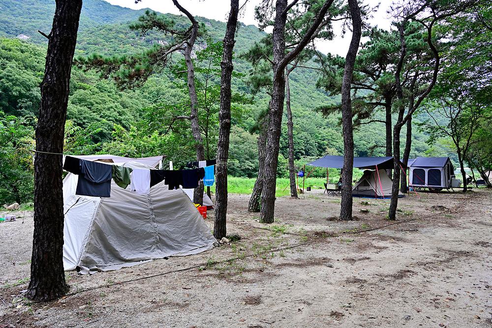 라라캠핑장