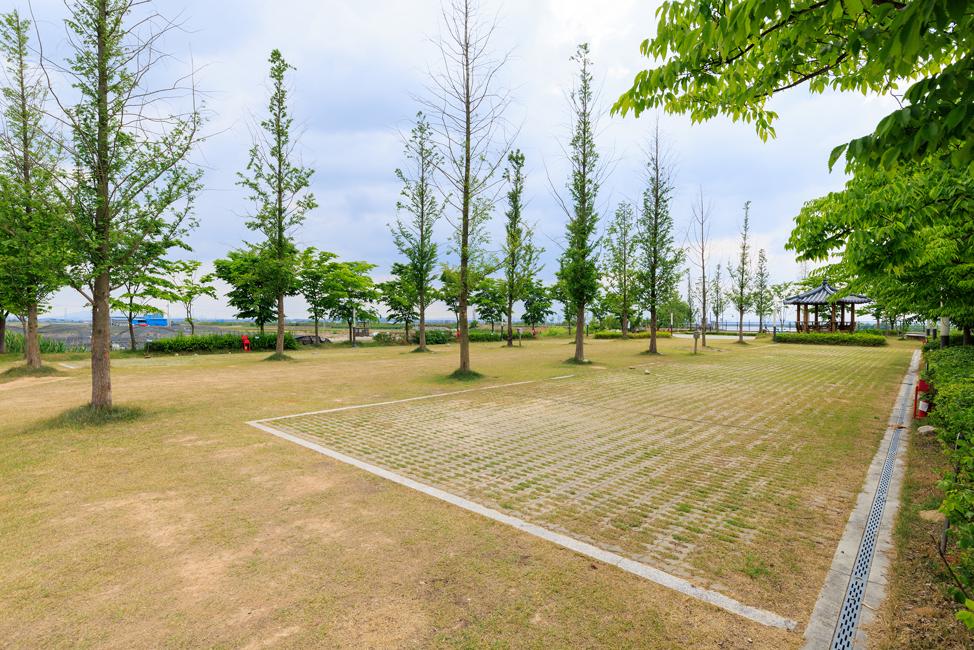 선장포노을캠핑장