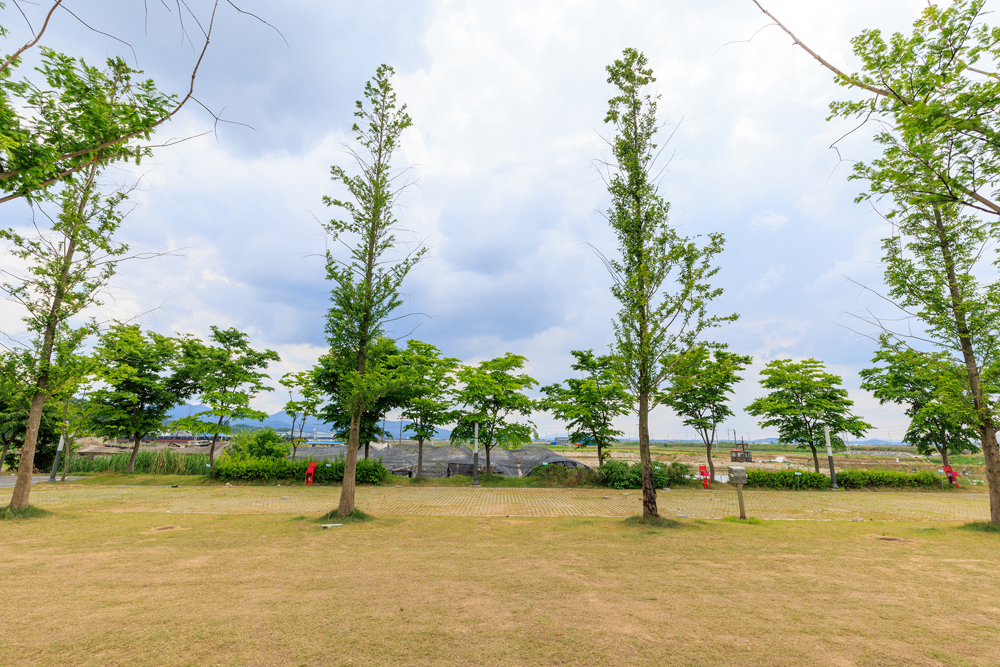 선장포노을캠핑장