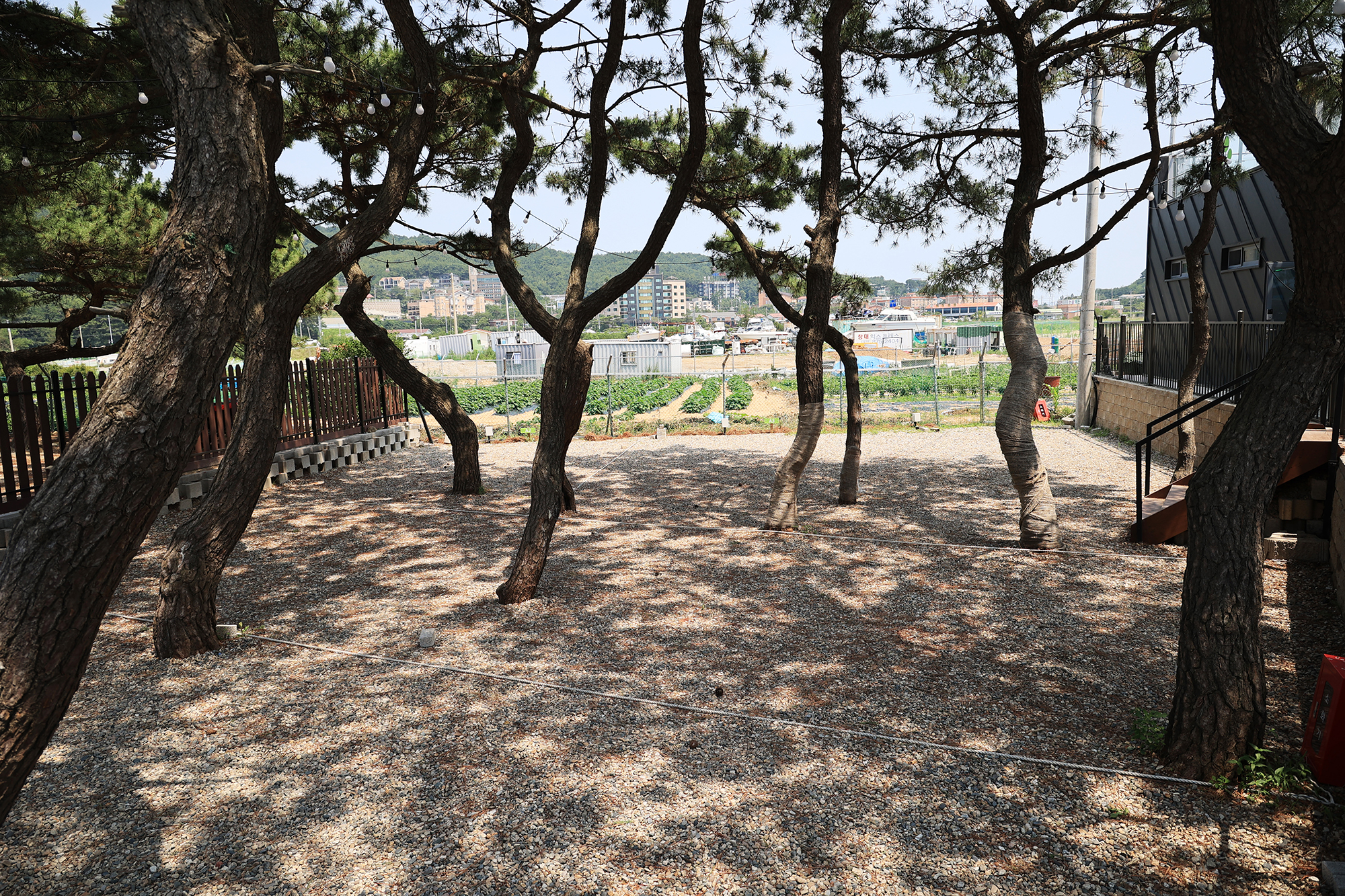 을왕리 솔트 캠핑장