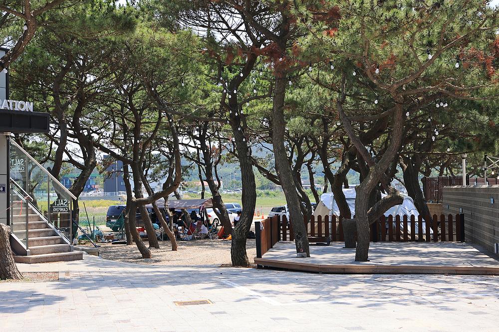 을왕리 솔트 캠핑장