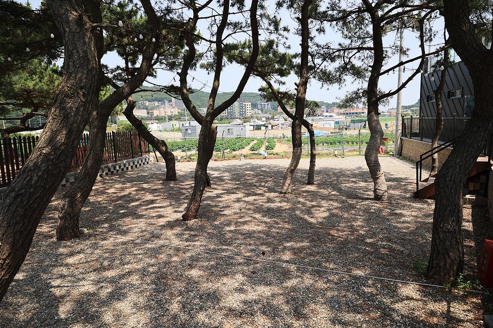 을왕리 솔트 캠핑장