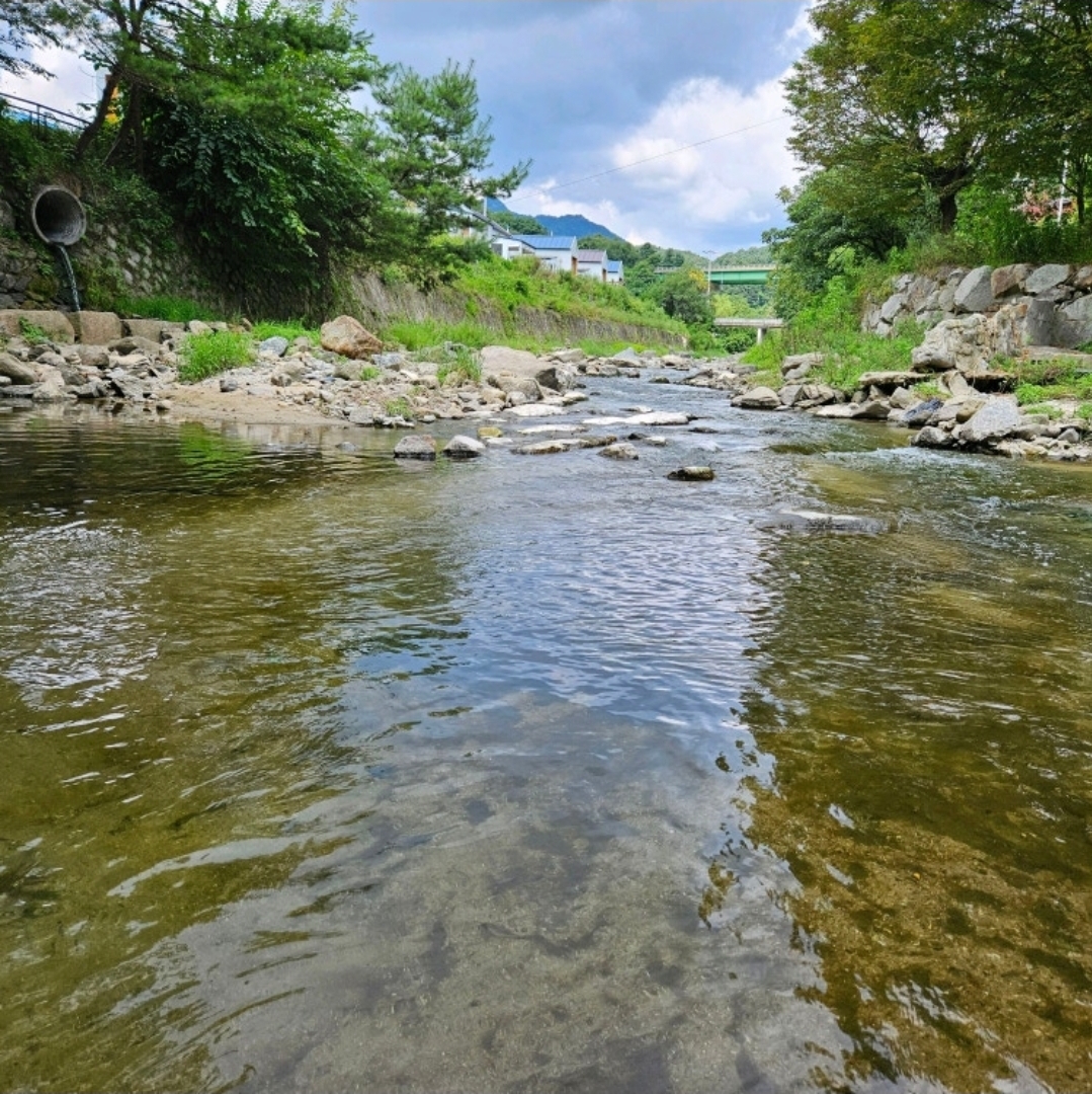 별밤 글램핑
