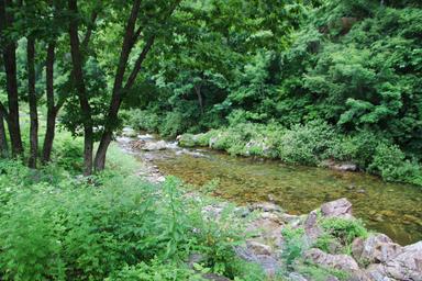 캠핑장소개 이미지