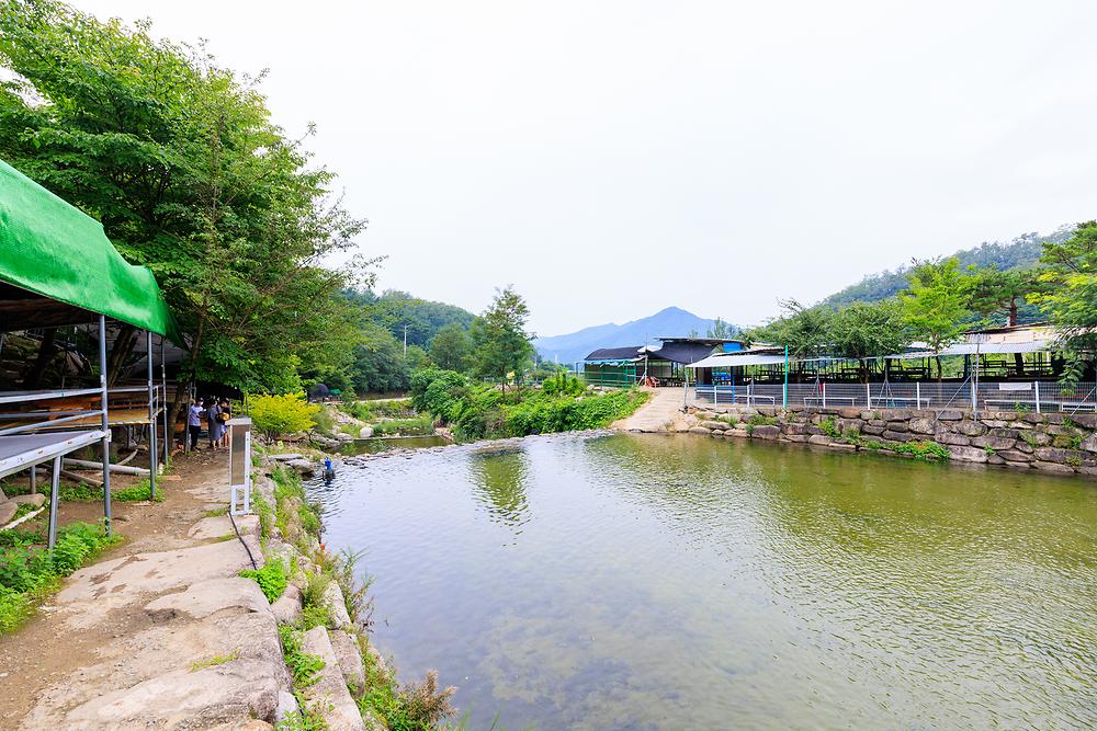 팔공 쉼터 야영장