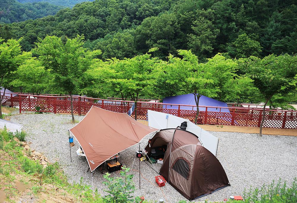 스칼라캠프장