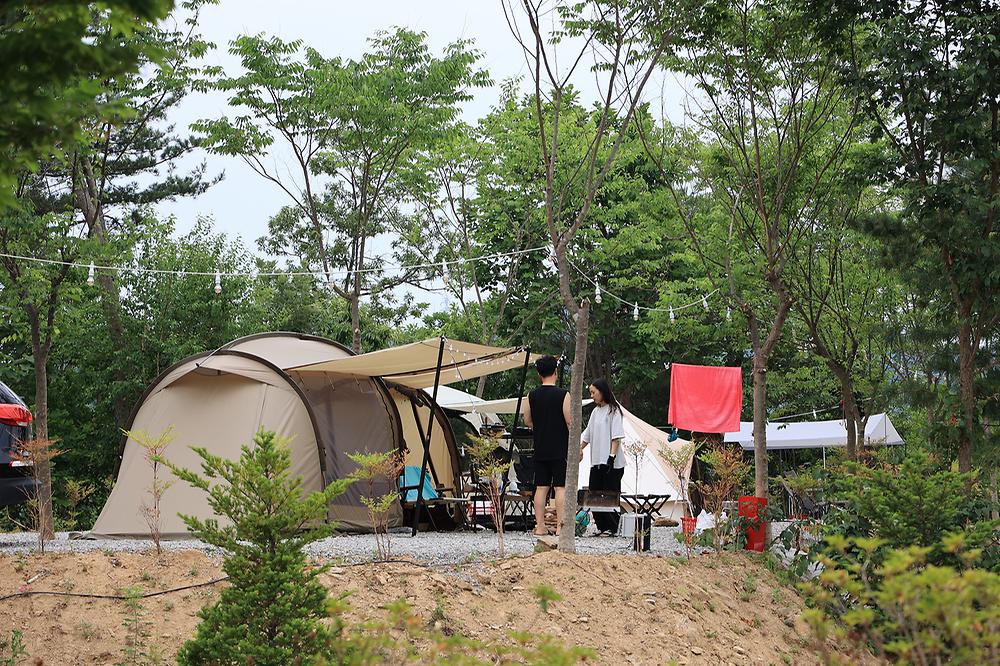 스칼라캠프장