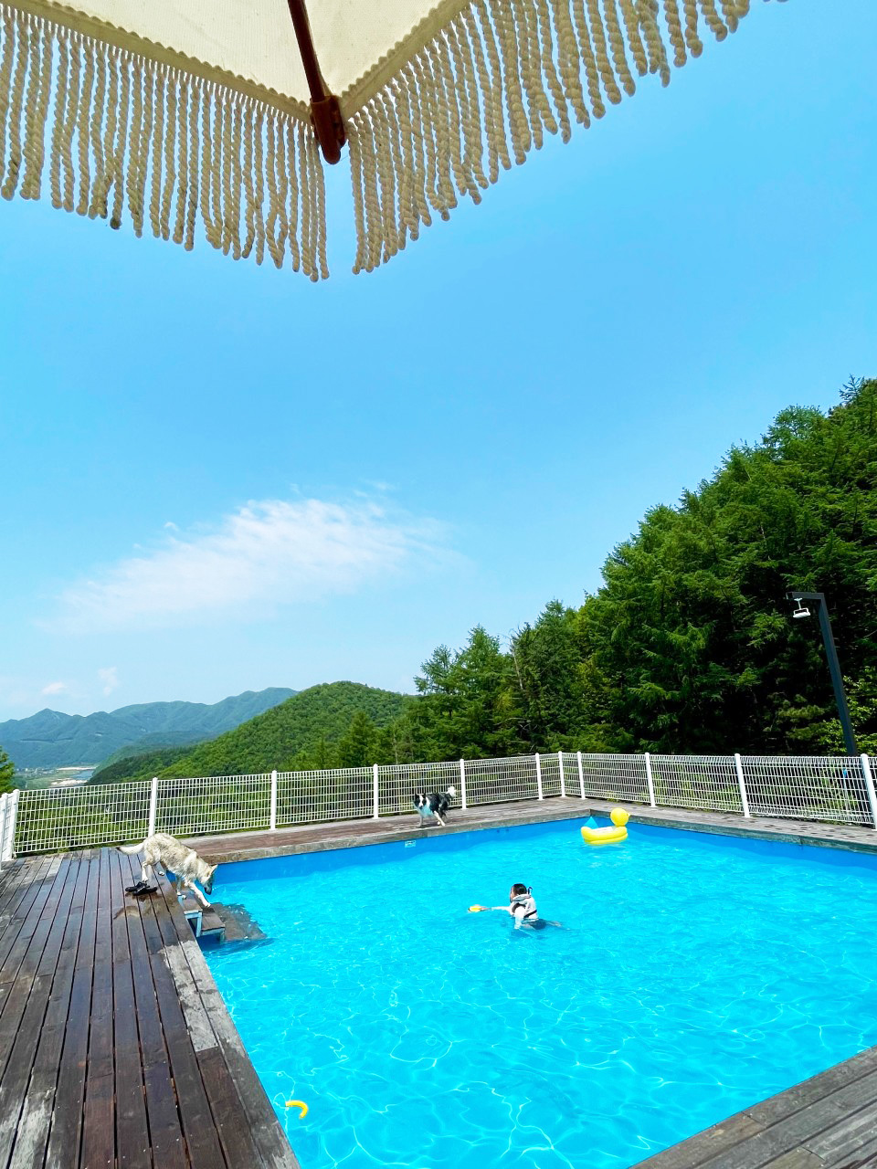 캐닌힐포레스트