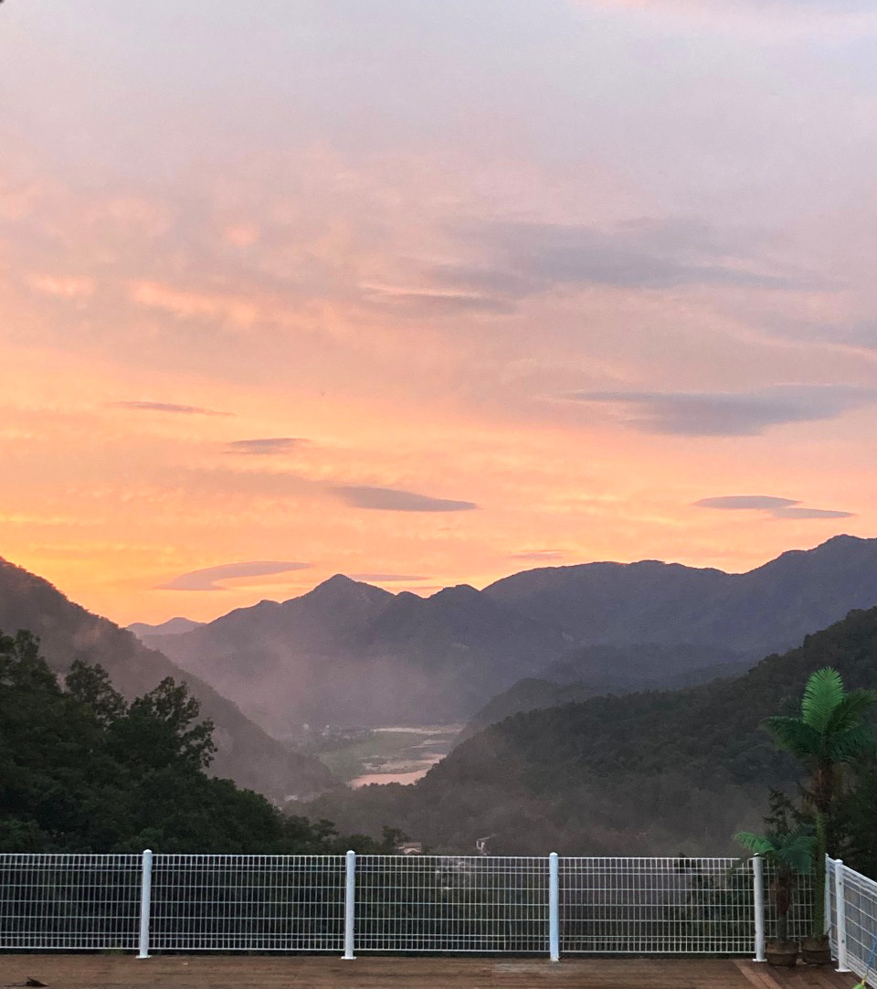 캐닌힐포레스트