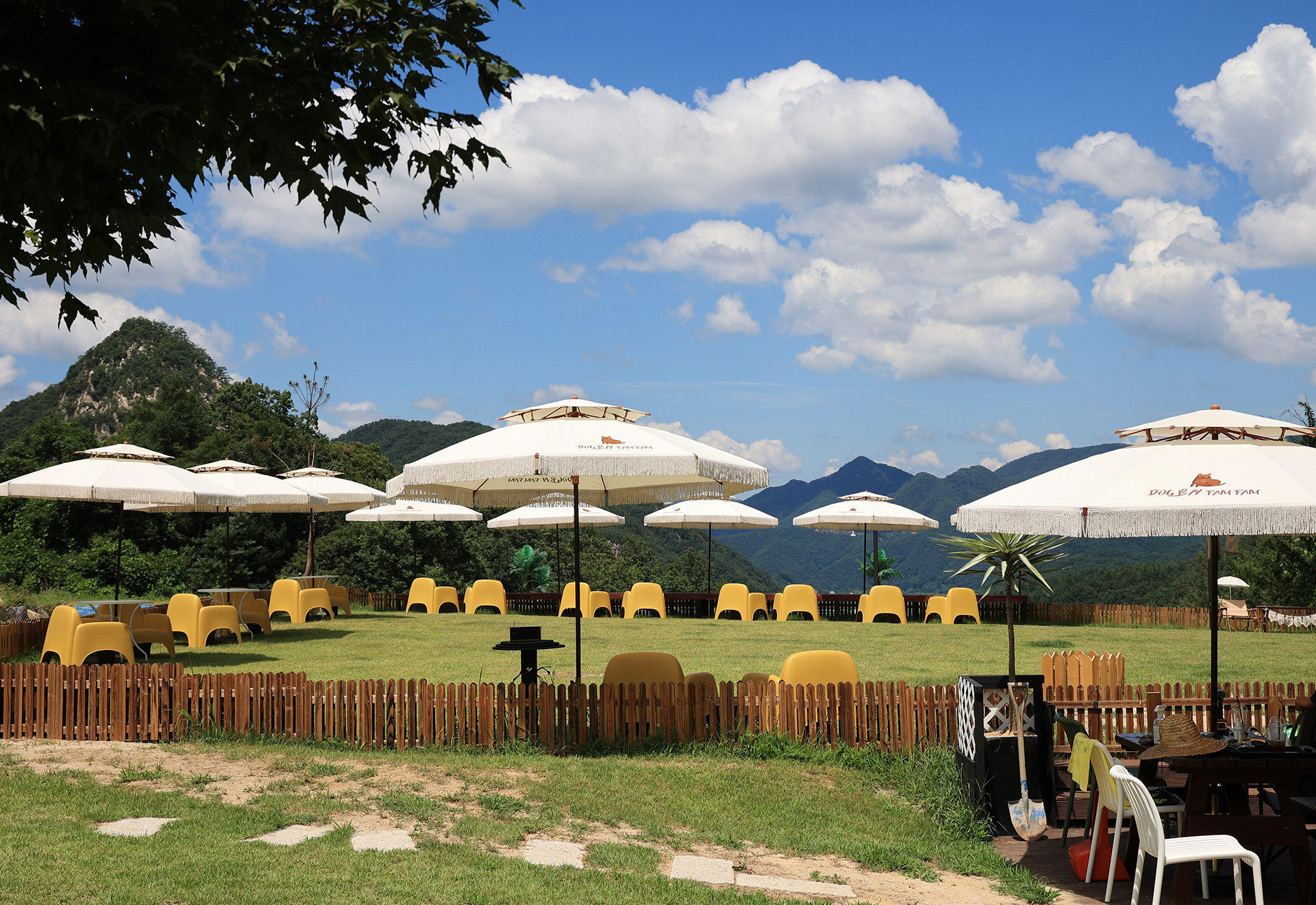 캐닌힐스(CANINHILLS)