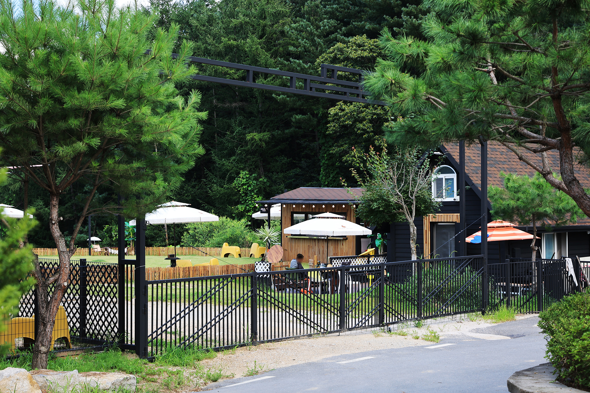 캐닌힐스(CANINHILLS)