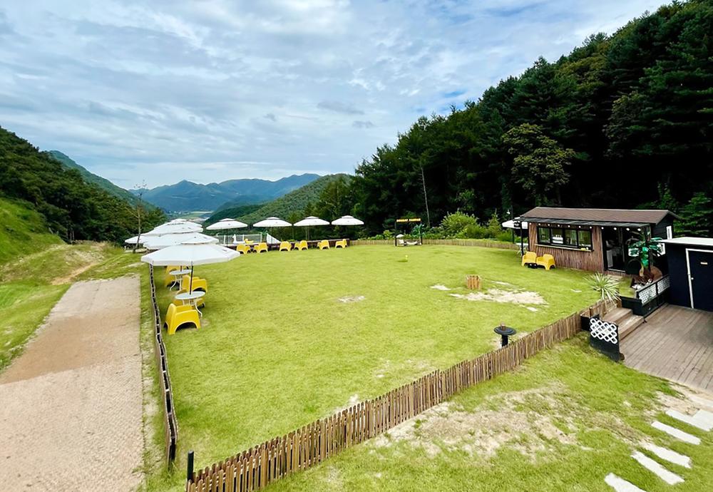 캐닌힐스(CANINHILLS)