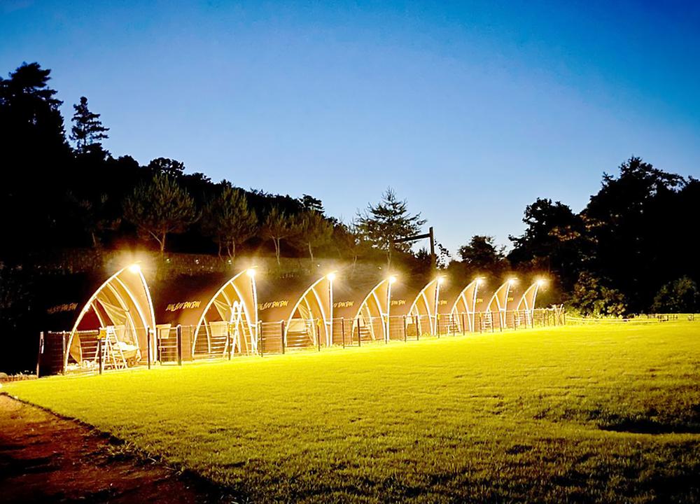 캐닌힐스(CANINHILLS)