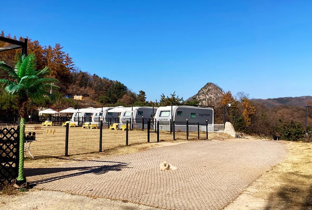 캐닌힐스(CANINHILLS)