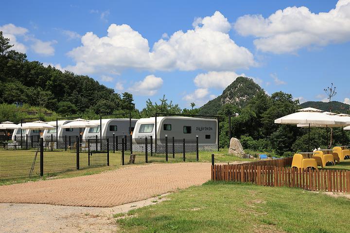 캐닌힐스(CANINHILLS) 메인 이미지