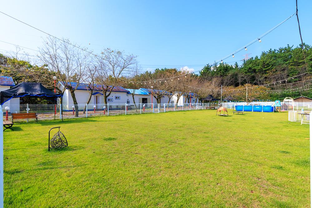 펫앤트리