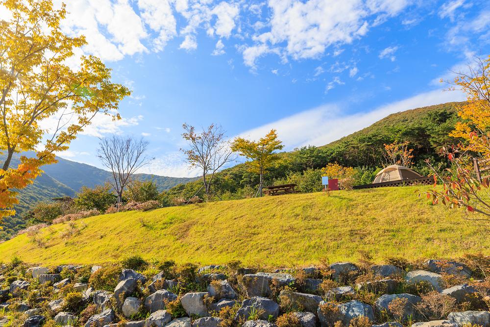 거금도 청석 오토캠핑장