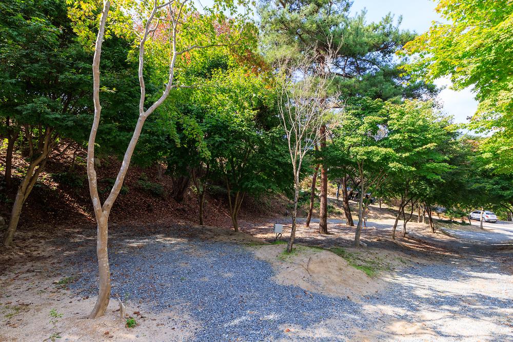 심천치유자연휴양림야영장